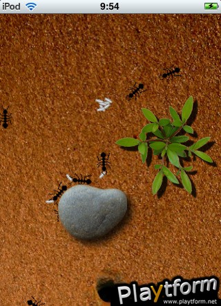 Find Ants (iPhone/iPod)