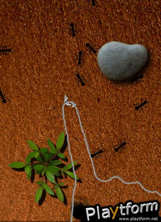 Find Ants (iPhone/iPod)