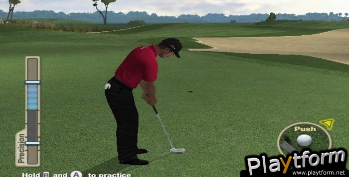 Tiger Woods PGA Tour 10 (Wii)