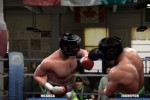 Fight Night Round 4 (PlayStation 3)