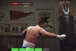 Fight Night Round 4 (Xbox 360)