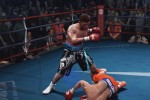 Fight Night Round 4 (Xbox 360)