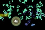 Music Catch (iPhone/iPod)