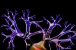 Relational Psychology Test (iPhone/iPod)
