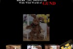 Bear St. Tumbler Puzzle (iPhone/iPod)