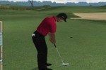 Tiger Woods PGA Tour 10 (Wii)