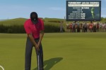 Tiger Woods PGA Tour 10 (PlayStation 3)