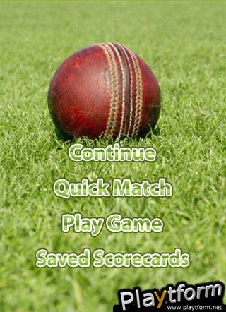Flip Cricket (iPhone/iPod)