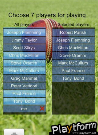 Flip Cricket (iPhone/iPod)