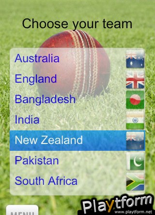 Flip Cricket (iPhone/iPod)