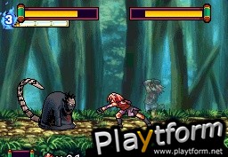 Naruto Shippuden: Ninja Council 4 (DS)