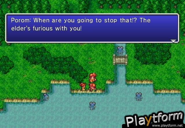 Final Fantasy IV: The After Years (Wii)