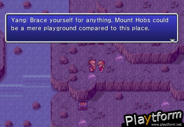 Final Fantasy IV: The After Years (Wii)