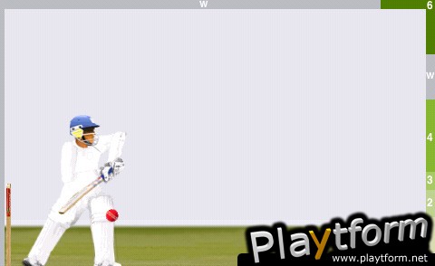 Touch Cricket (iPhone/iPod)