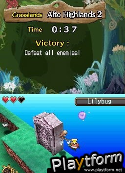 Steal Princess (DS)