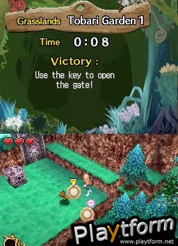 Steal Princess (DS)