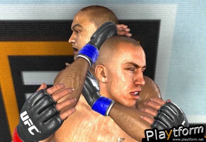 UFC 2009 Undisputed (PlayStation 3)