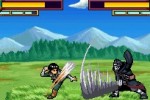 Naruto Shippuden: Ninja Council 4 (DS)