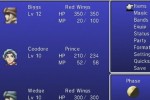 Final Fantasy IV: The After Years (Wii)