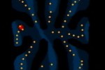 Puffins: Island Adventure (DS)