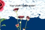 Flowerpatch (iPhone/iPod)