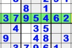 Enjoy Sudoku (iPhone/iPod)