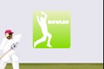 Touch Cricket (iPhone/iPod)