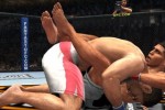 UFC 2009 Undisputed (PlayStation 3)