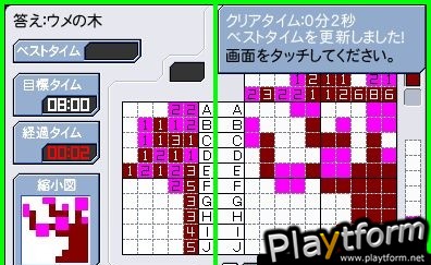 Challenge Me: Brain Puzzles (DS)