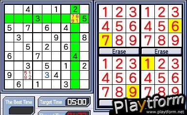 Challenge Me: Brain Puzzles (DS)