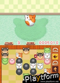 Rollin' Rascals (DS)