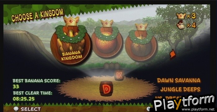 New Play Control! Donkey Kong Jungle Beat (Wii)