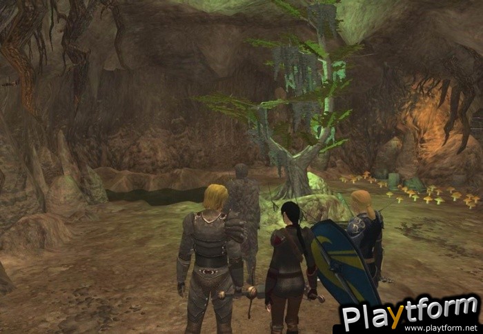 Neverwinter Nights 2: Mysteries of Westgate (PC)