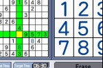 Challenge Me: Brain Puzzles (DS)