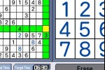 Challenge Me: Brain Puzzles (DS)