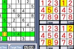 Challenge Me: Brain Puzzles (DS)