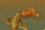 Pirates: Duels on the High Seas (DS)