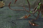Sacred 2: Fallen Angel (PlayStation 3)