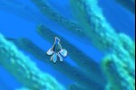 Coral Racer (iPhone/iPod)