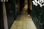 Rayuela (iPhone/iPod)