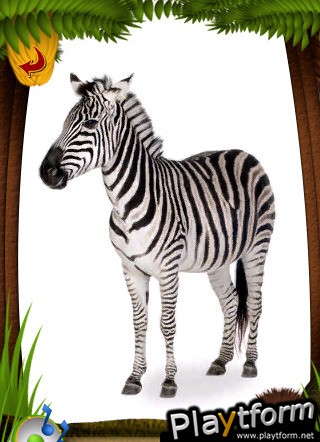 Wild Animals (iPhone/iPod)