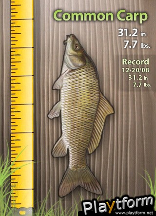 Gone Fishin' (iPhone/iPod)