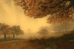 The Chronicles of Spellborn (PC)