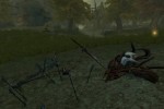 The Chronicles of Spellborn (PC)