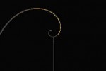 Pendulum Oracle (iPhone/iPod)