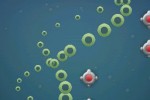 EatWillGrow (iPhone/iPod)