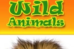 Wild Animals (iPhone/iPod)