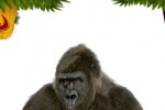 Wild Animals (iPhone/iPod)