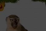 Wild Animals (iPhone/iPod)