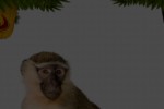 Wild Animals (iPhone/iPod)